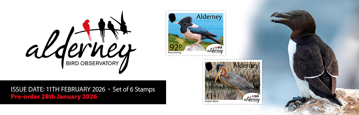 Alderney Bird Observatory